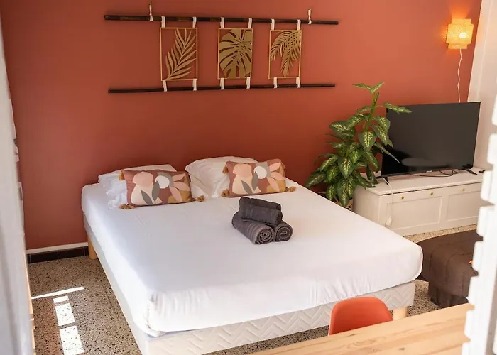 Very Quiet Palm Close Apartment Cannes